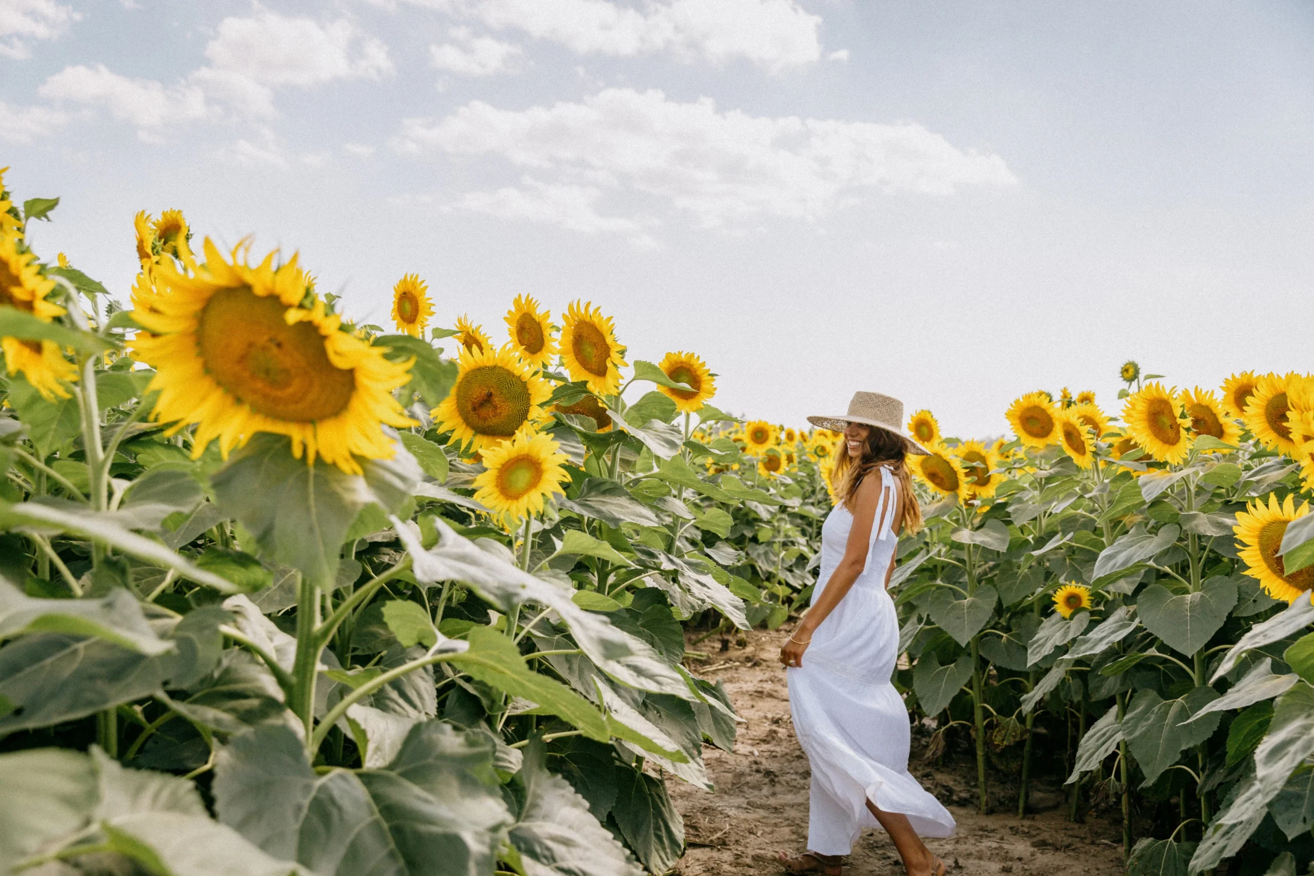woman smiles as she stands in a sunflower field fe8db7a6 abc4 49fd be0d e9288d3bb25d scaled Luosophy: A Philosophy for Living in Harmony with Change