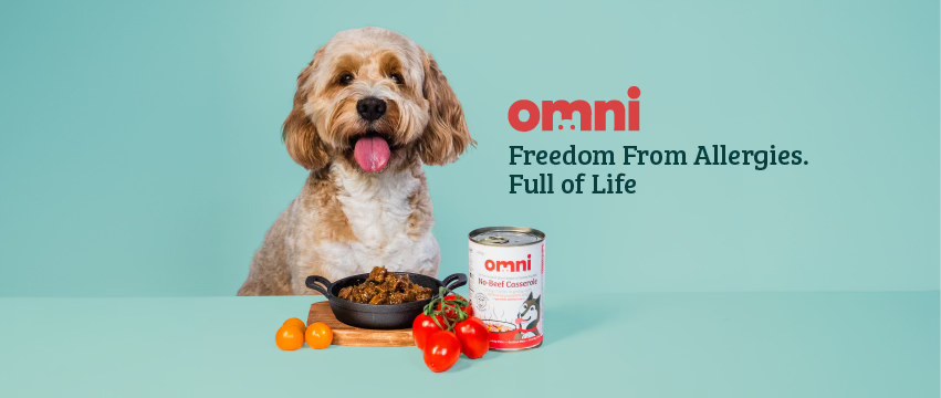 Omni Pet Blog: Your Ultimate Guide to Pet Care